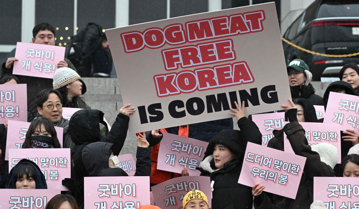 South Korea passes ban on dog meat production and sales